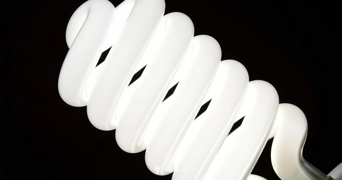 Choosing bulbs wisely - Bulb Fix