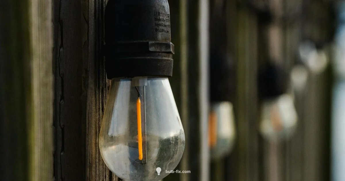 Best Outdoor Bulb Guide - Bulb Fix