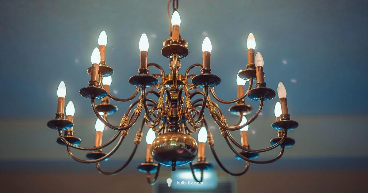 Bulb Safety Guide - Bulb Fix