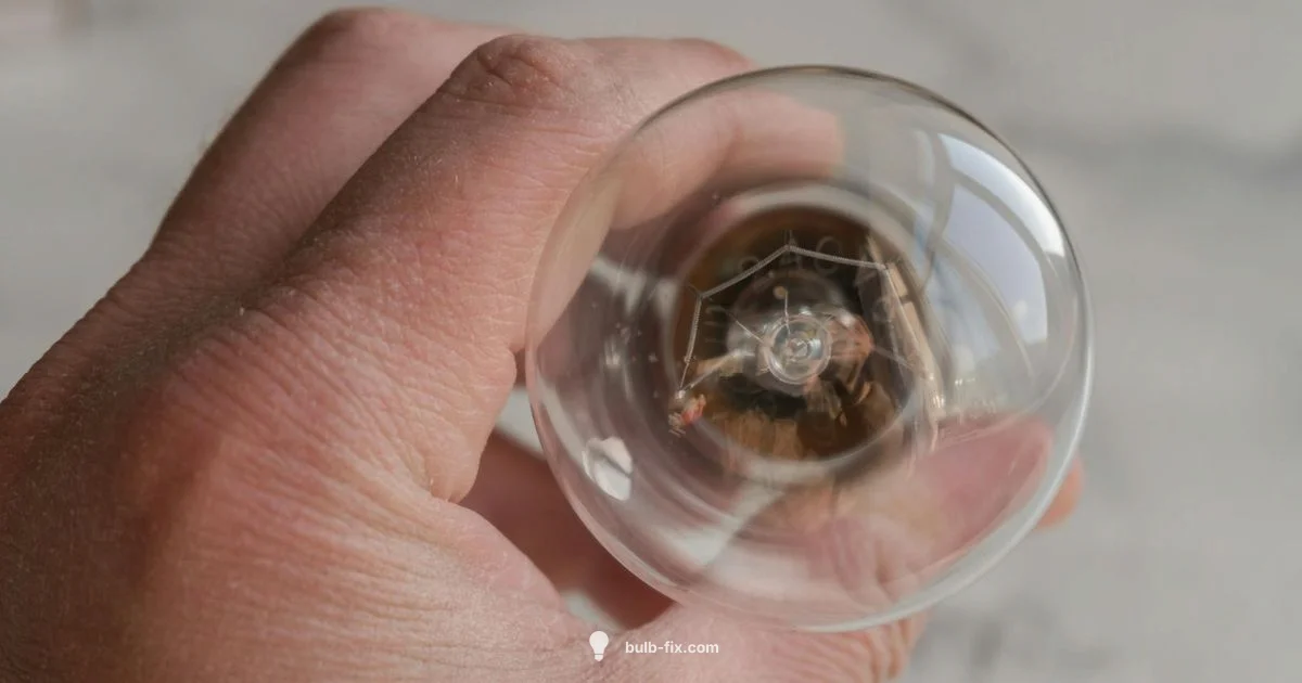 Electrical Light Bulb Basics - Bulb Fix