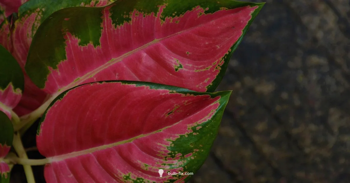 Grow Light Bulbs Guide - Bulb Fix