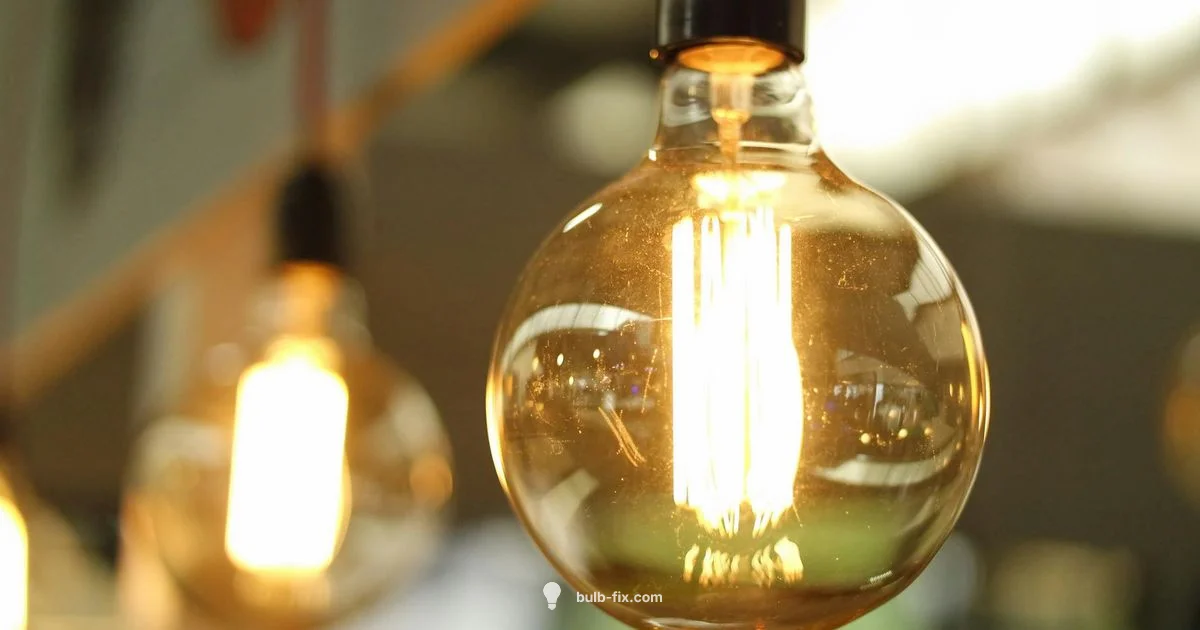 DIY Bulb Circuit DIY Bulb Circuit - Bulb Fix