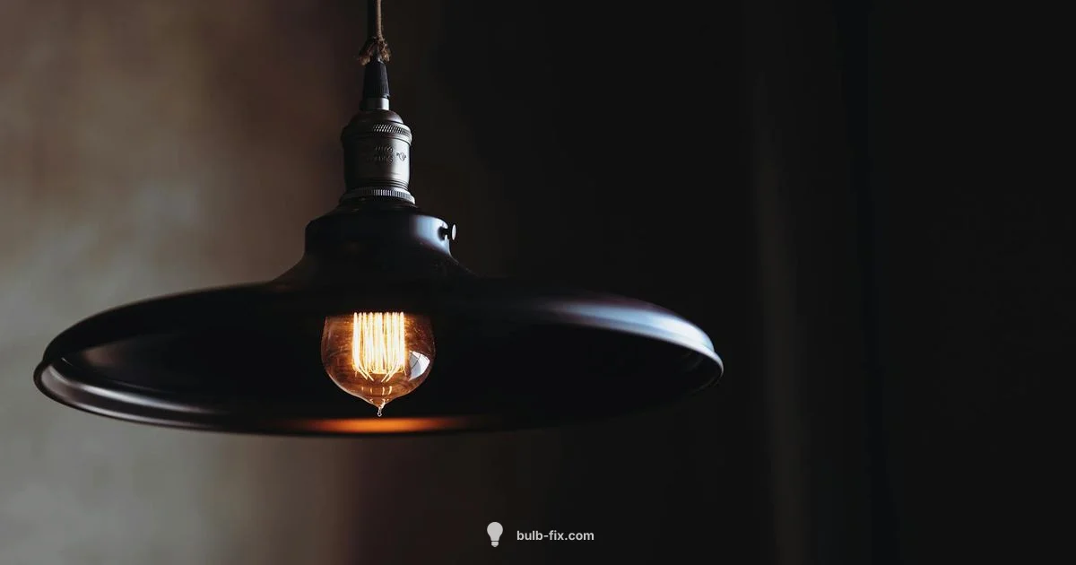 A19 Bulb Basics - Bulb Fix