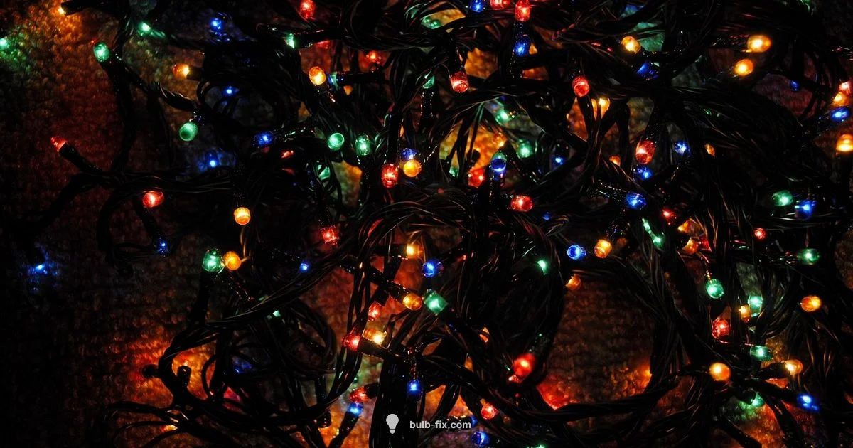 C7 Size Guide - Bulb Fix