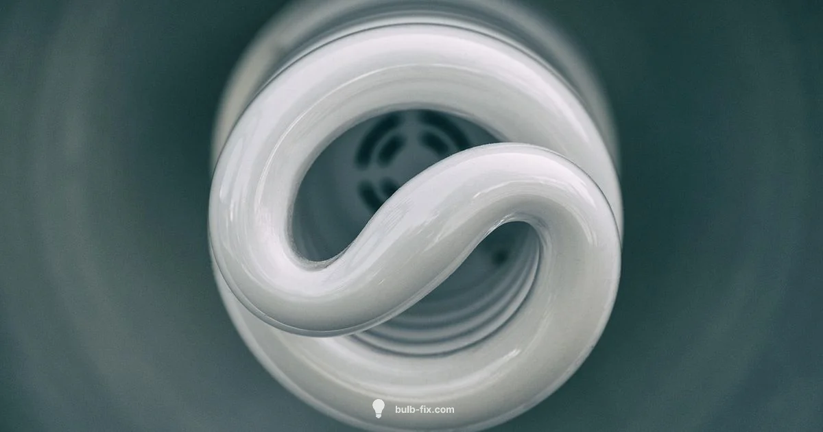 Bulb vs Lamp Guide - Bulb Fix