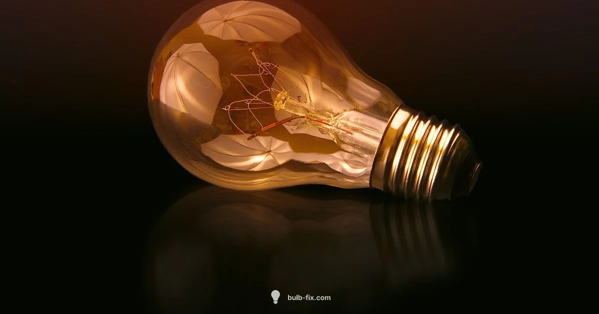 Light Bulb History - Bulb Fix