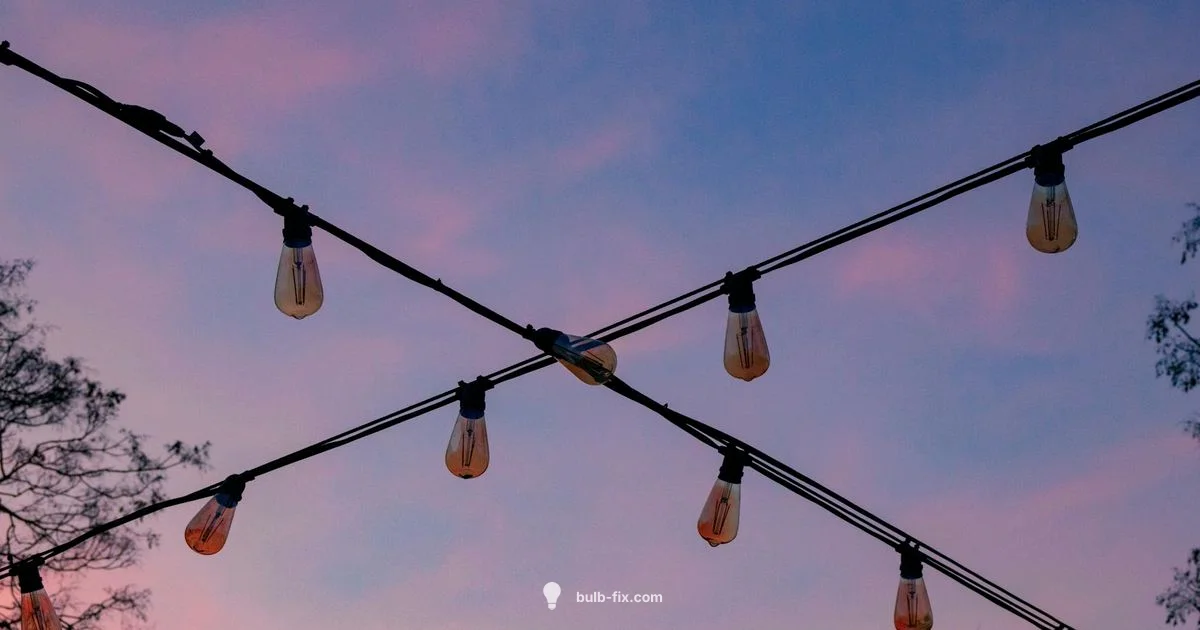 Flood Light Bulbs Guide Flood Light Bulbs Guide - Bulb Fix