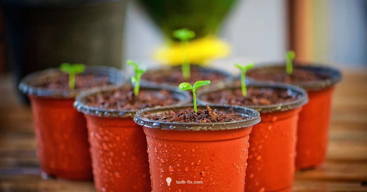 Plant Yard Bulbs - Bulb Fix