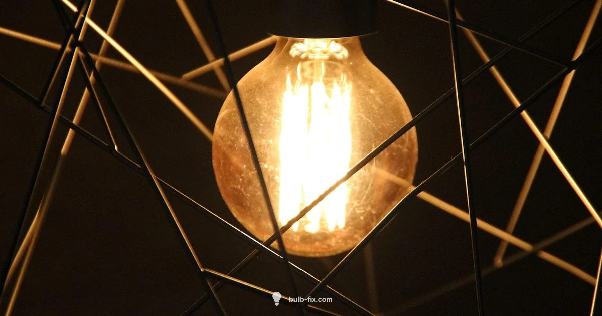 Bulb Painting Guide Bulb Painting Guide - Bulb Fix