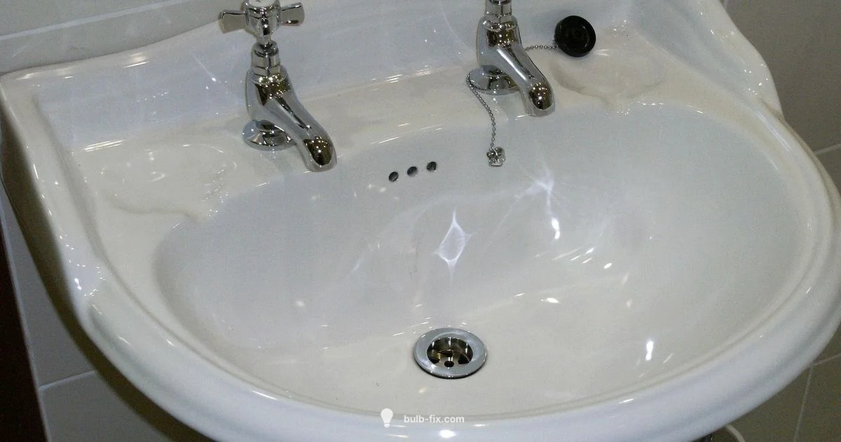 Douche Bulb Guide - Bulb Fix