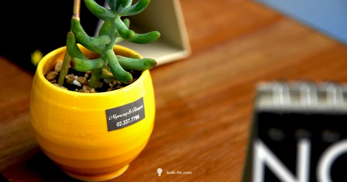 Grow Light for Plants - Bulb Fix