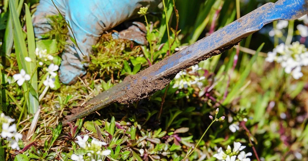 Bulb Auger Guide Bulb Auger Guide - Bulb Fix