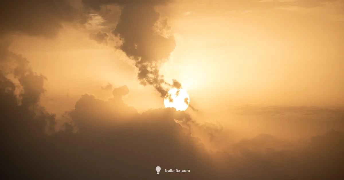 Grow Bulb Basics Grow Bulb Basics - Bulb Fix