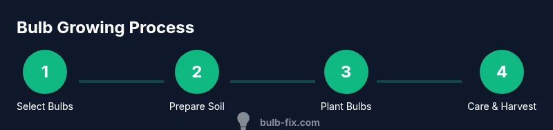 Process diagram for growing bulbs