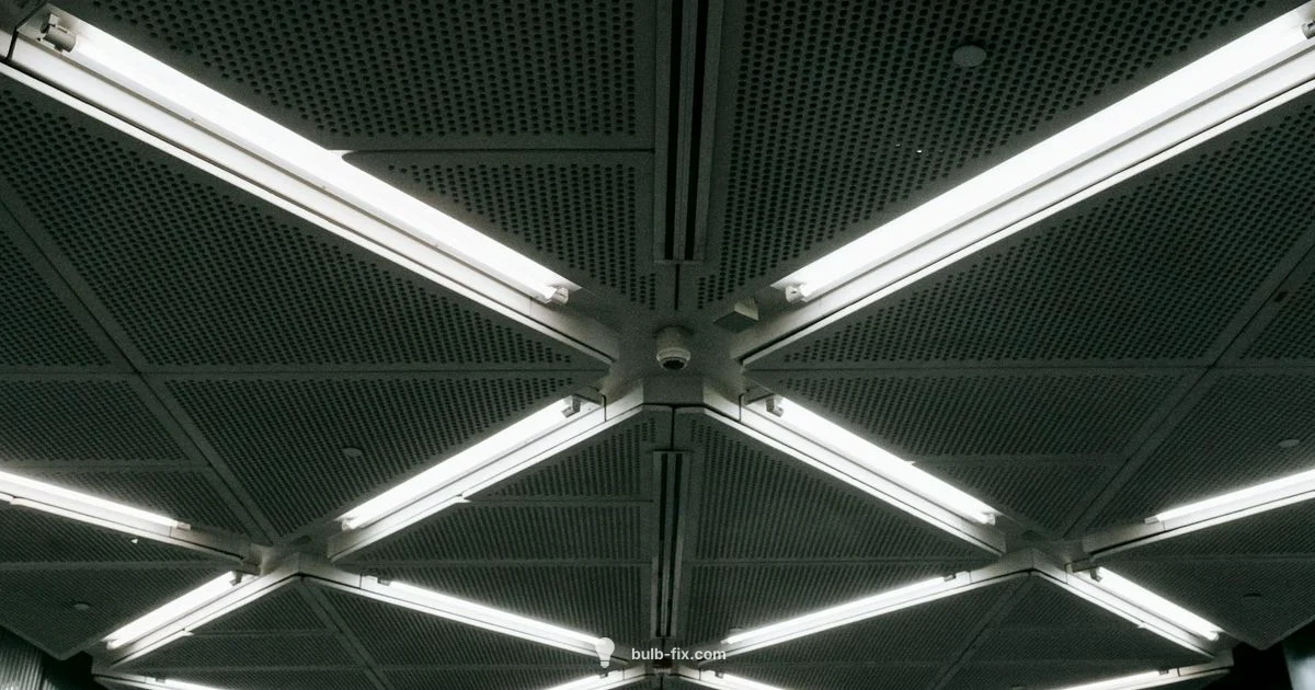 LED vs Fluorescent - Bulb Fix