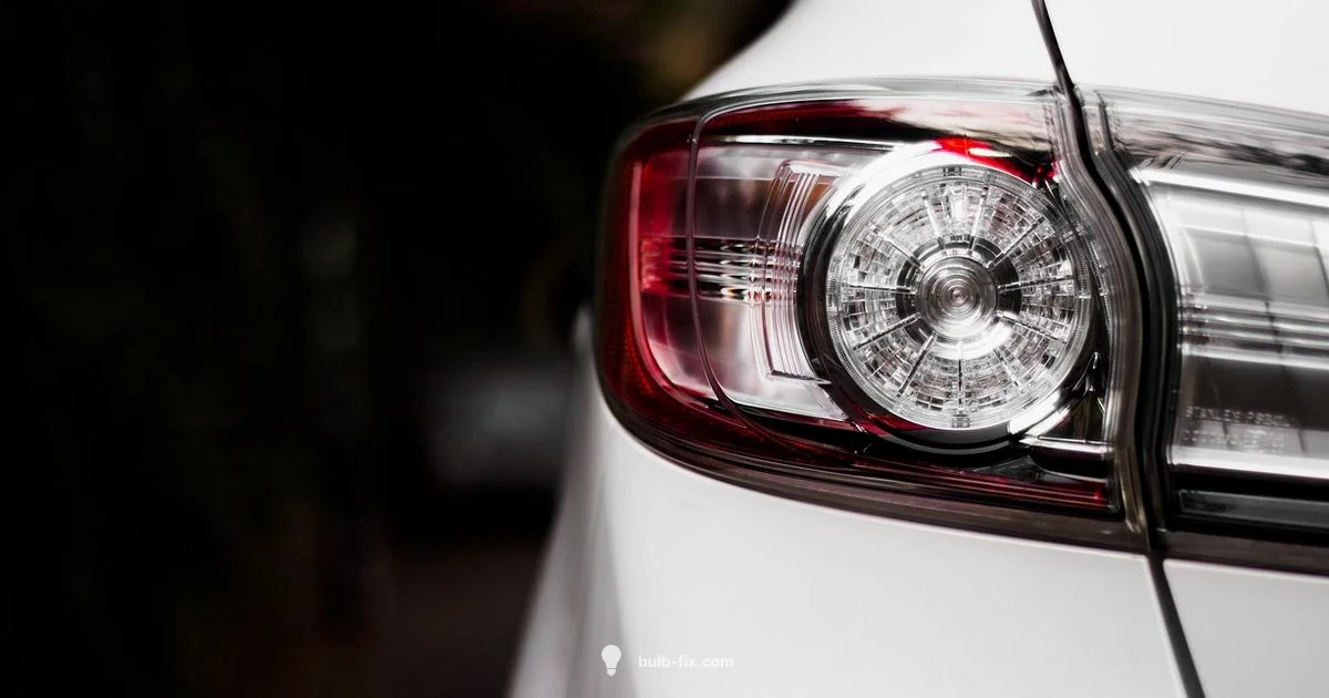 Tail Light Bulbs Explained - Bulb Fix