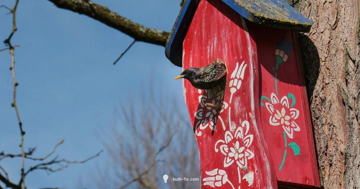 Incubator Bulb Guide Incubator Bulb Guide - Bulb Fix