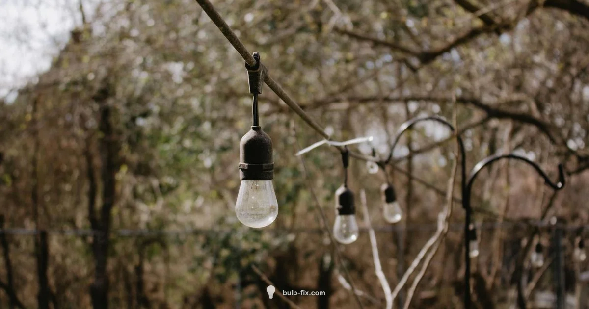 PAR38 Guide - Bulb Fix