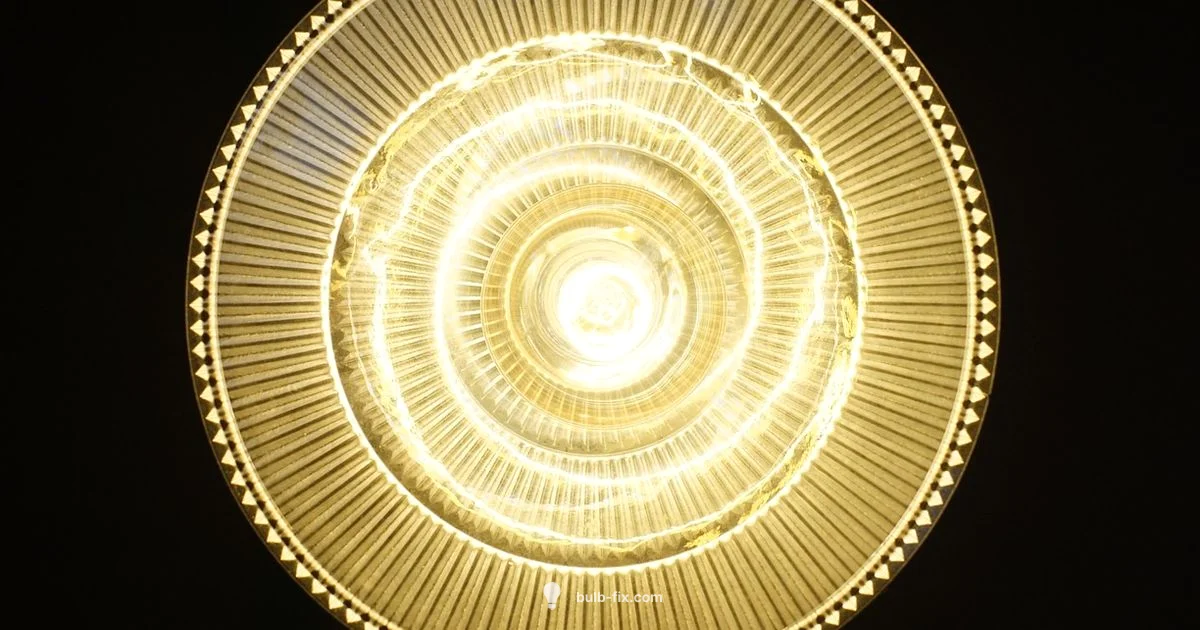 Bulb Storage Guide Bulb Storage Guide - Bulb Fix