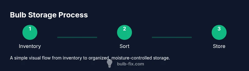 Infographic showing a three-step process for bulb storage: inventory, sort, store