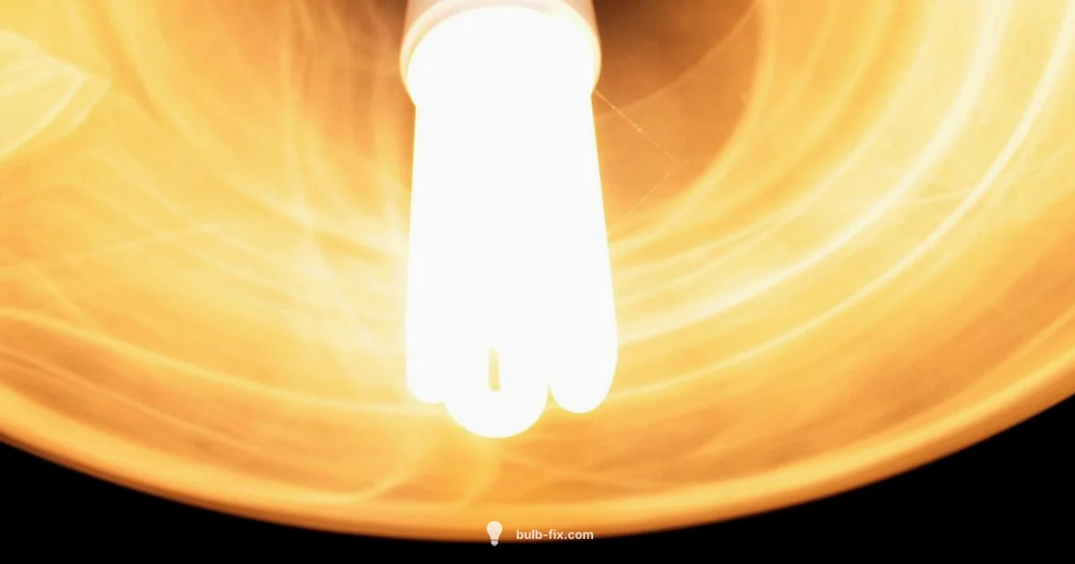 Efficient Home Lighting Efficient Home Lighting - Bulb Fix