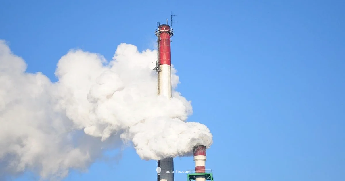 Bulb Manufacturing Bulb Manufacturing - Bulb Fix