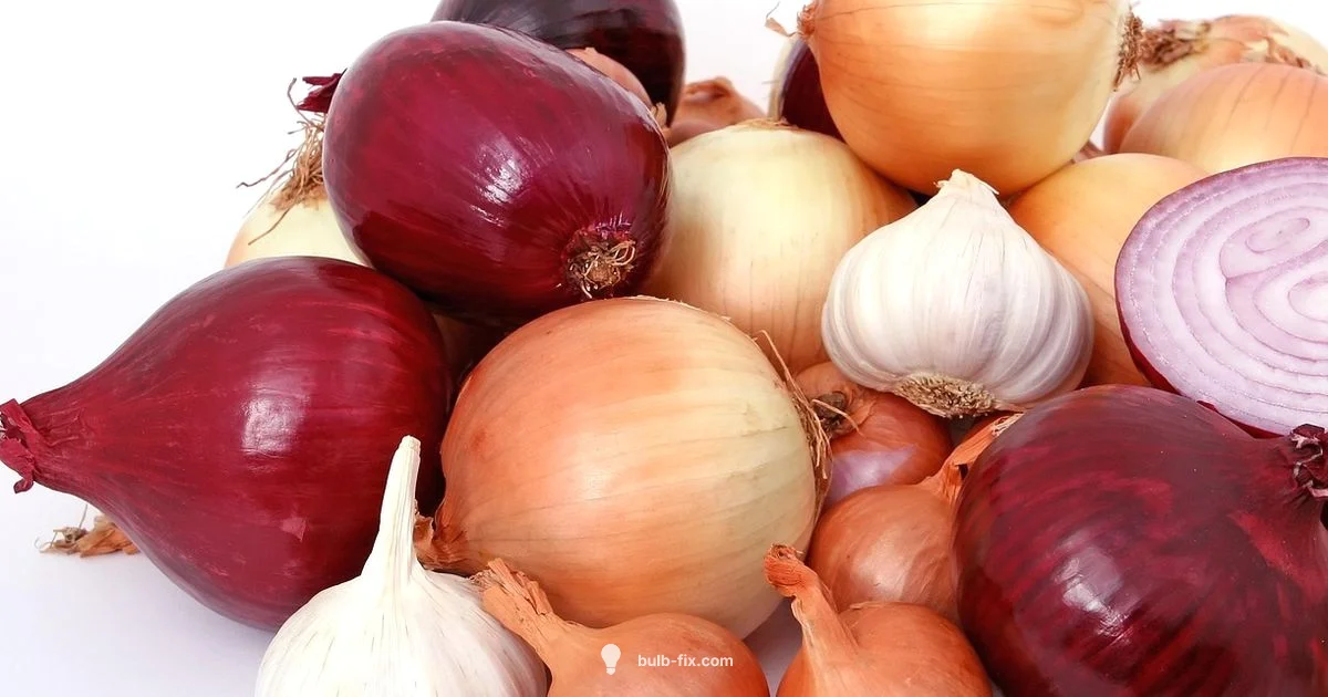 Deer-Resistant Bulbs Deer-Resistant Bulbs - Bulb Fix