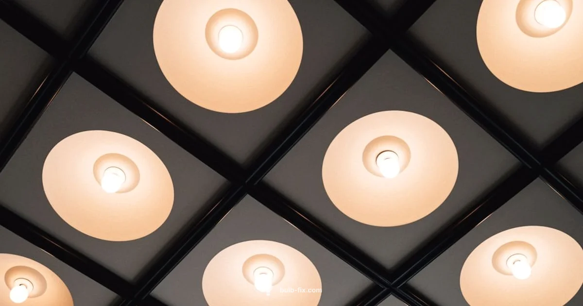 PAR 30 Lighting - Bulb Fix