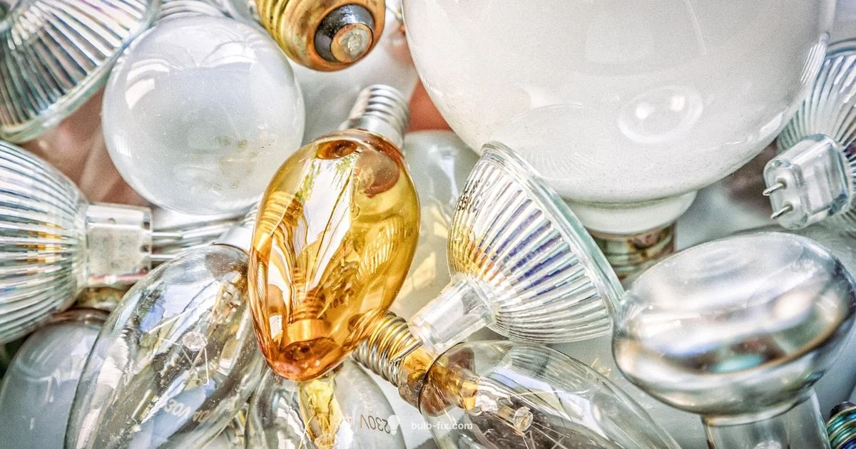 Bulb Recycling Guide - Bulb Fix