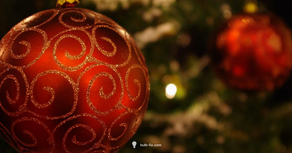 Bulb Size Guide - Bulb Fix