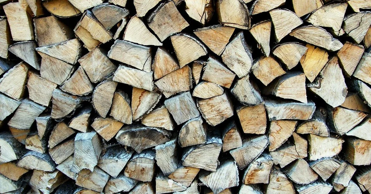 Winter Bulb Care - Bulb Fix