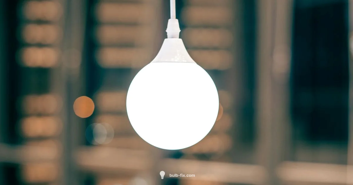 Bulb Base Check Bulb Base Check - Bulb Fix