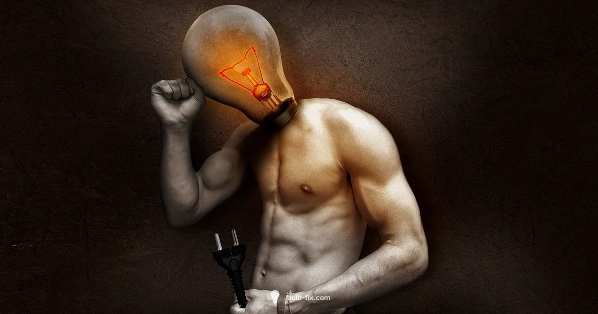 E26 ID Guide E26 ID Guide - Bulb Fix