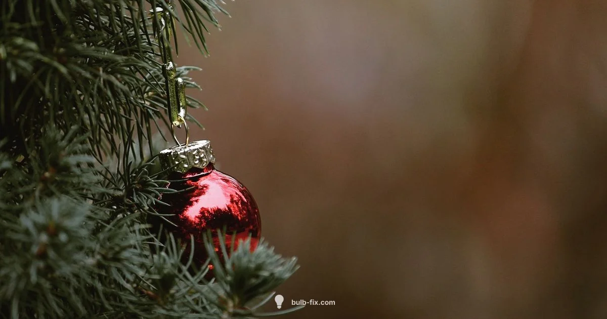 LED Bulb Replacement LED Bulb Replacement - Bulb Fix