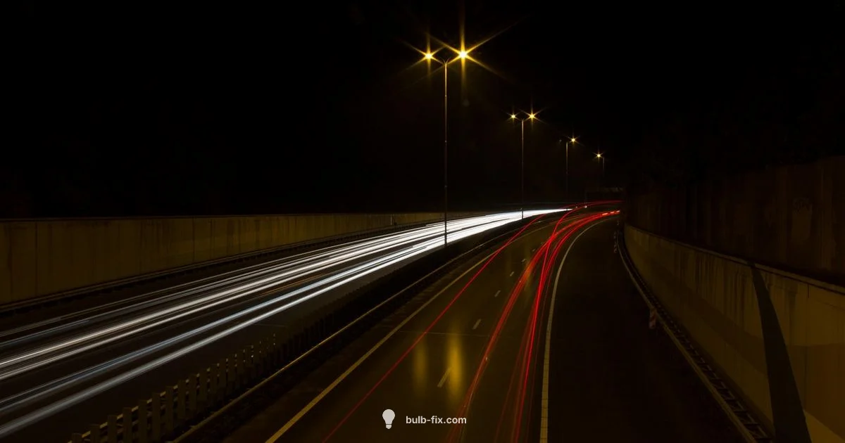 Rear Light Guide Rear Light Guide - Bulb Fix