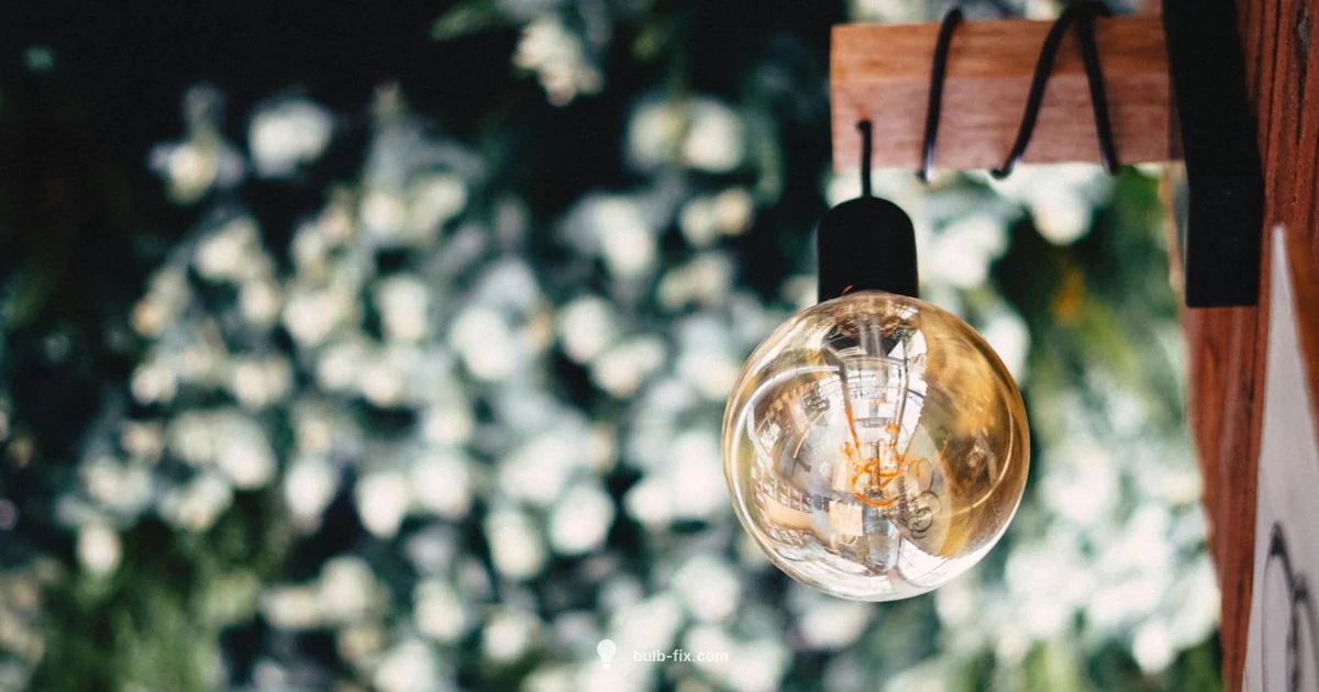 60W Soft White Guide 60W Soft White Guide - Bulb Fix