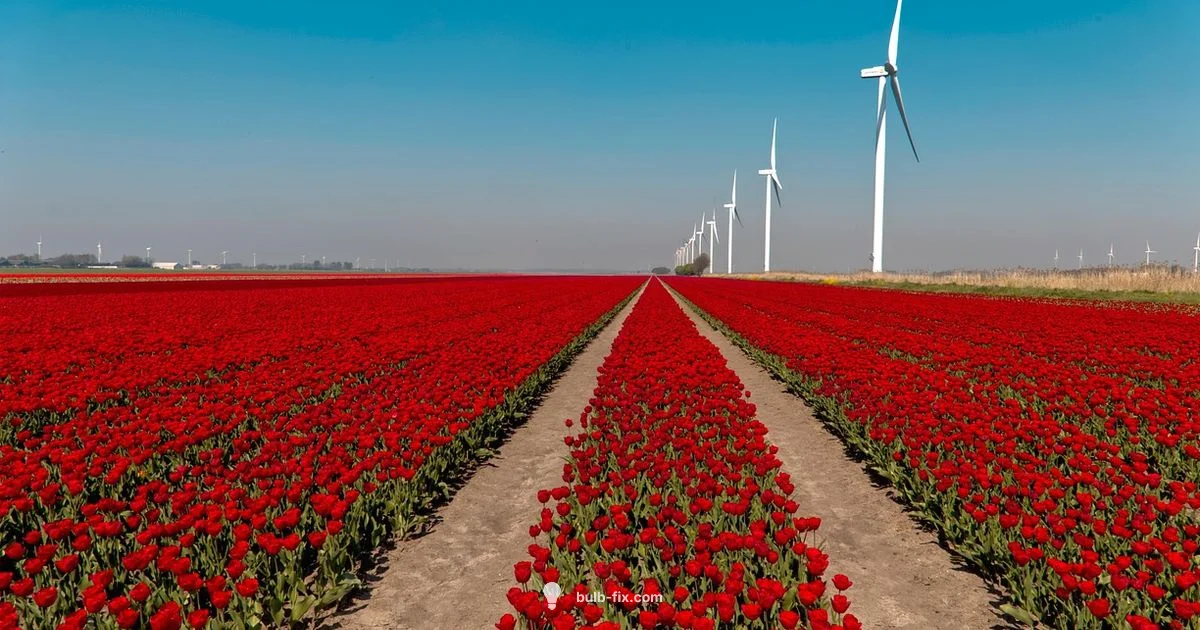 Seasonal Bulb Guide - Bulb Fix