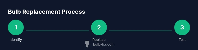 Infographic showing the bulb replacement process for Christmas lights