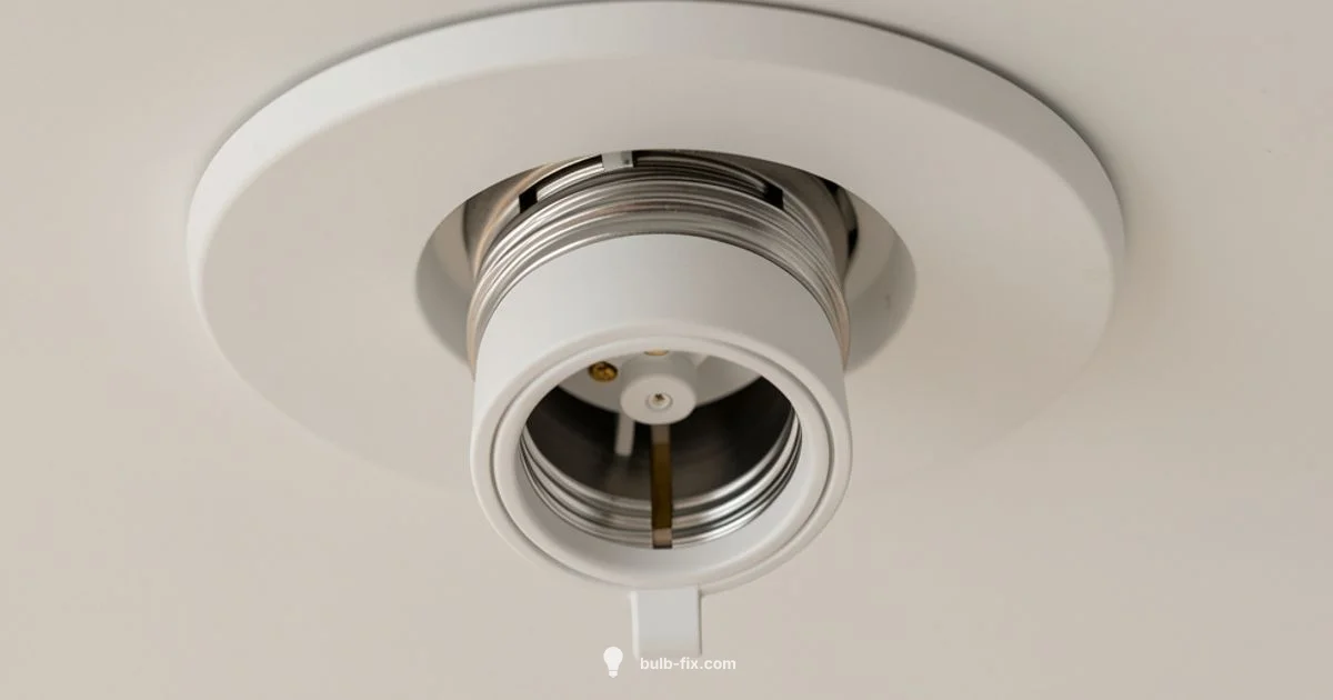 E26 Socket Essentials - Bulb Fix