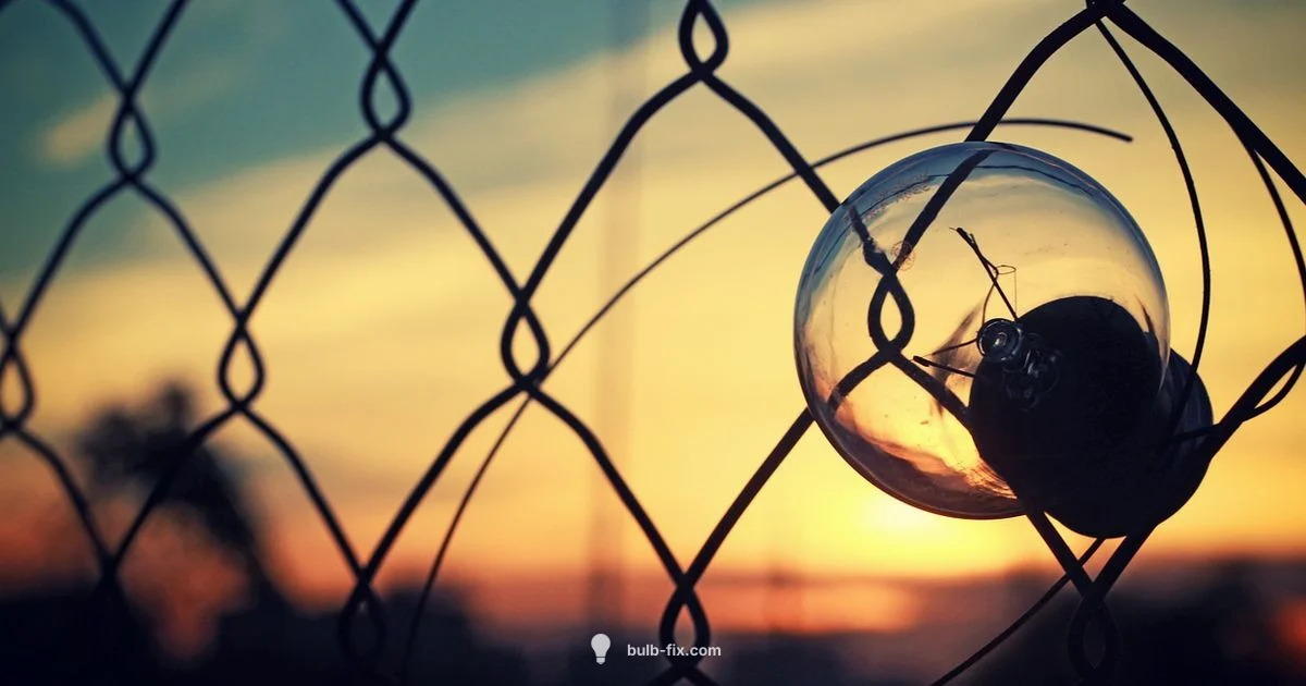 Origins of Light Origins of Light - Bulb Fix