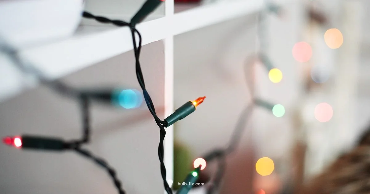 C7 Bulb Essentials - Bulb Fix