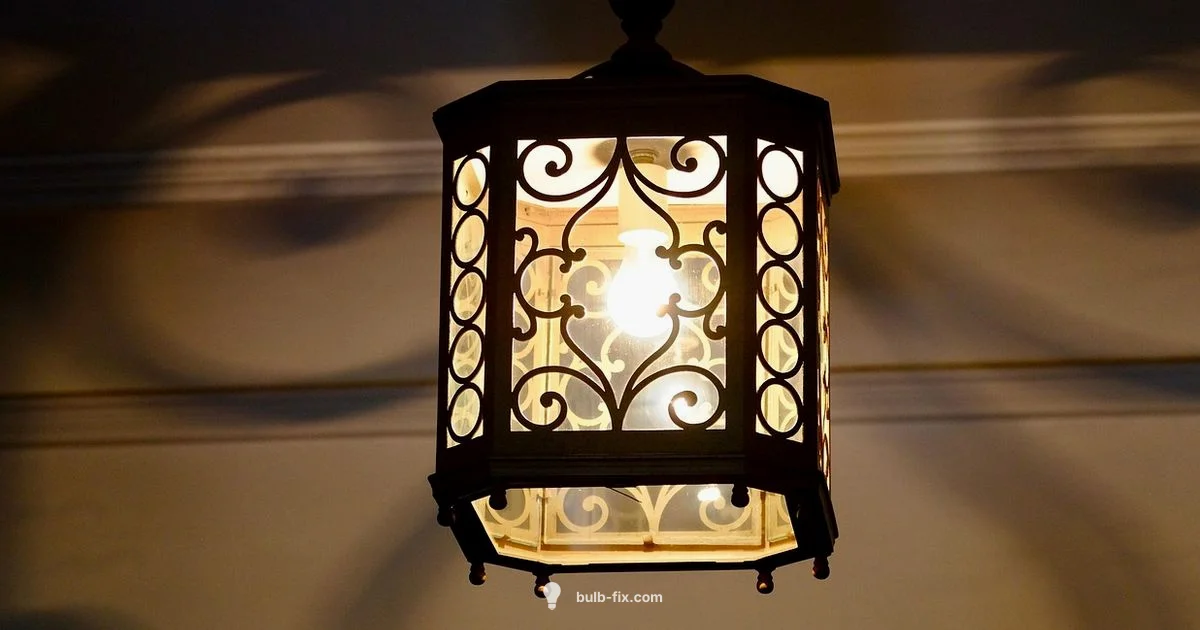 G9 Bulb Guide - Bulb Fix