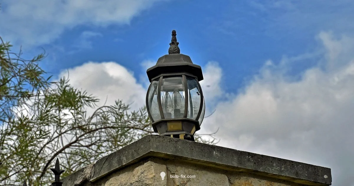 Bulb Burnout Guide - Bulb Fix