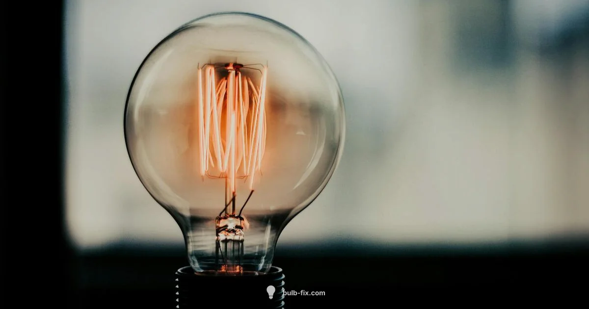 G50 Bulb Guide - Bulb Fix