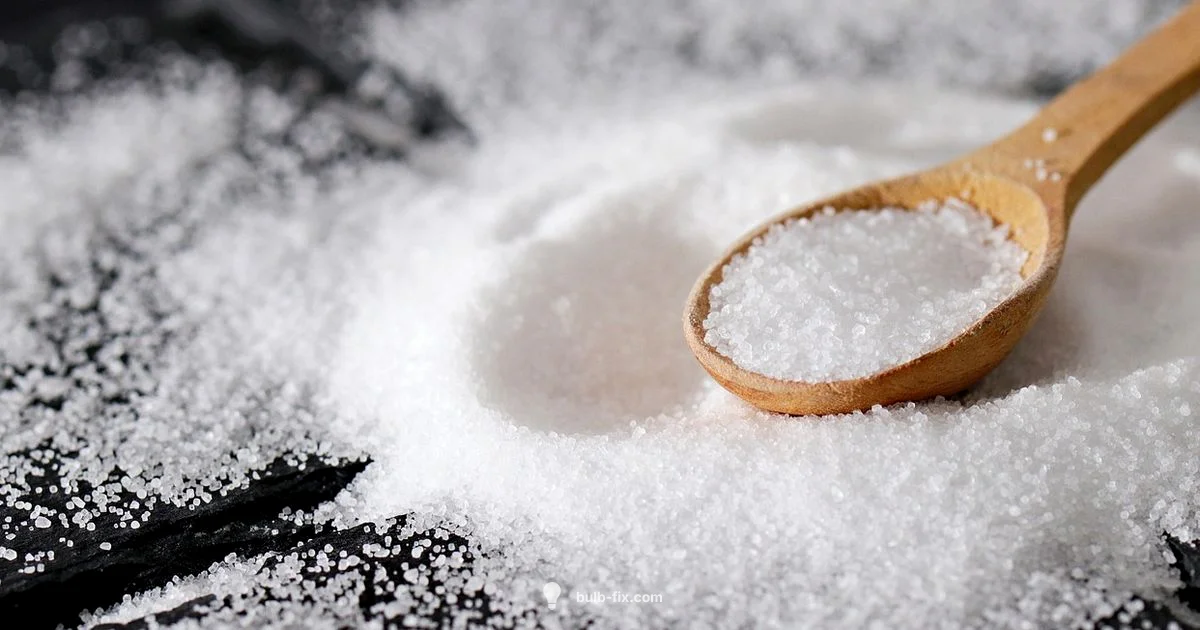 Pink Salt Lamp Guide - Bulb Fix