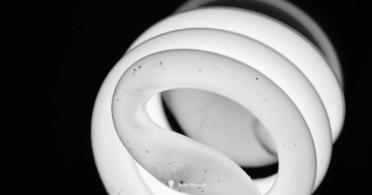 Luminous Bulb Basics - Bulb Fix