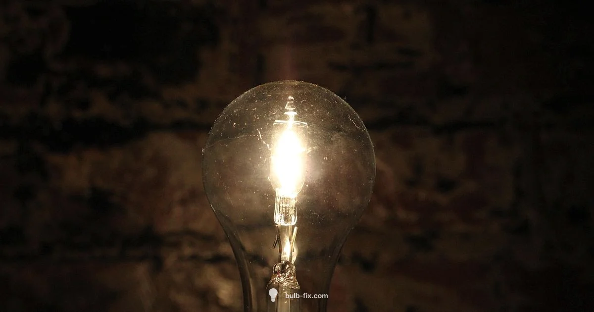 Flicker Fix Flicker Fix - Bulb Fix