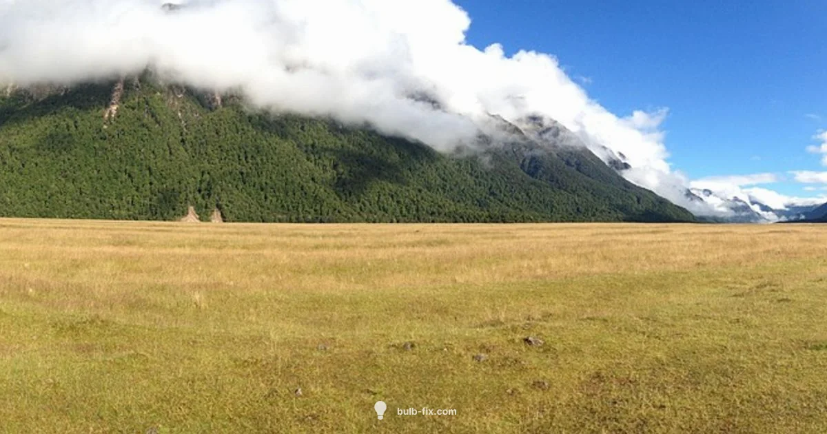 Safe Bulb Repair - Bulb Fix