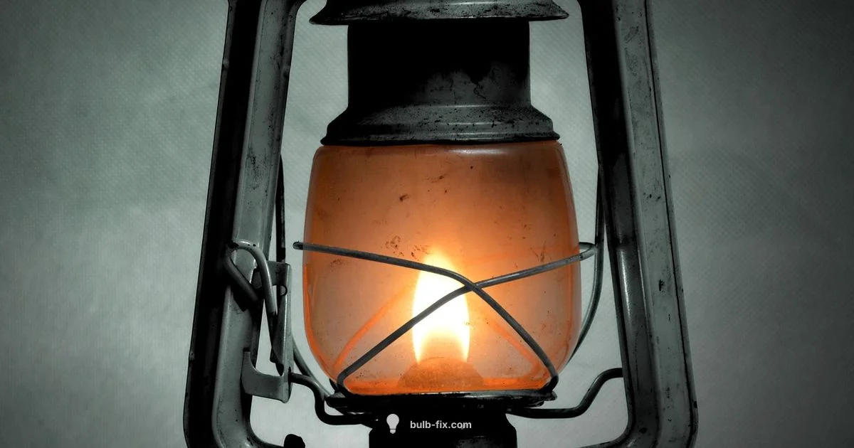 25W G Bulb Guide 25W G Bulb Guide - Bulb Fix