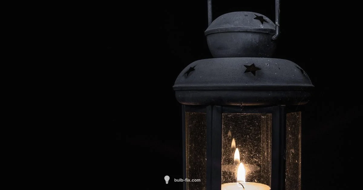 T10 Basics T10 Basics - Bulb Fix